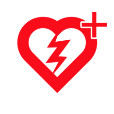 cursus reanimeren met AED; herhalingscursus BHV; herhalingscursus EHBO